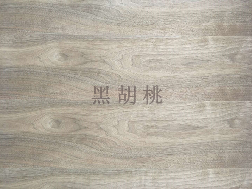 黑胡桃