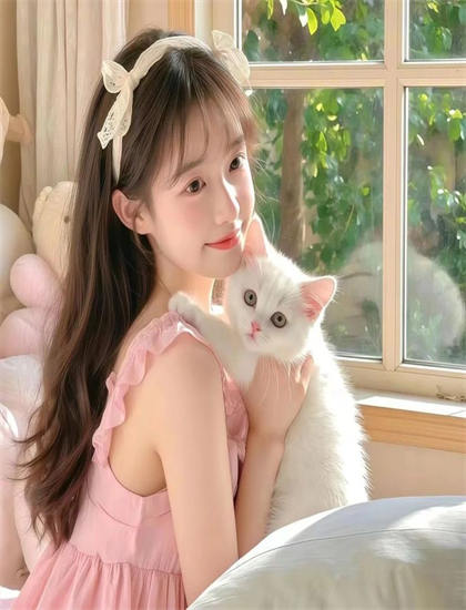 最近有什么好看的电影或电视剧-天堂小屋电影完整版观看